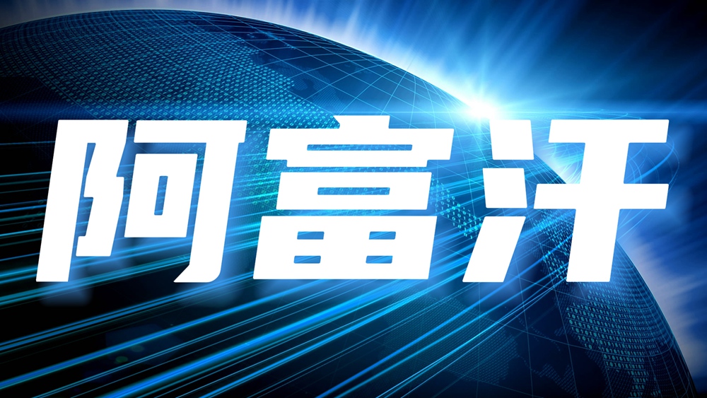 合作伙伴五