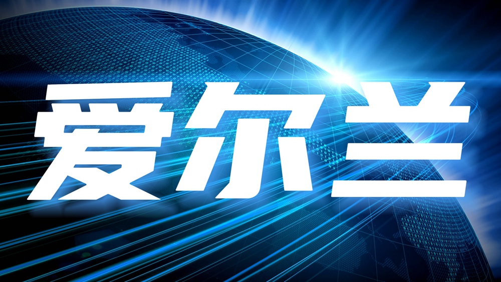 合作伙伴三